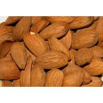 Mandula – Tétényi bőtermő – Prunus dulcis